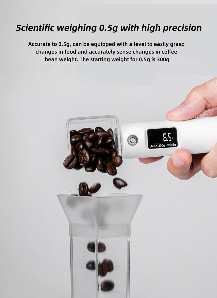 300g ABS Spoon Scale
