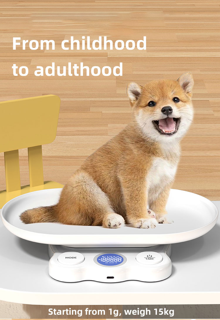Concave Design Pet Weight Scale