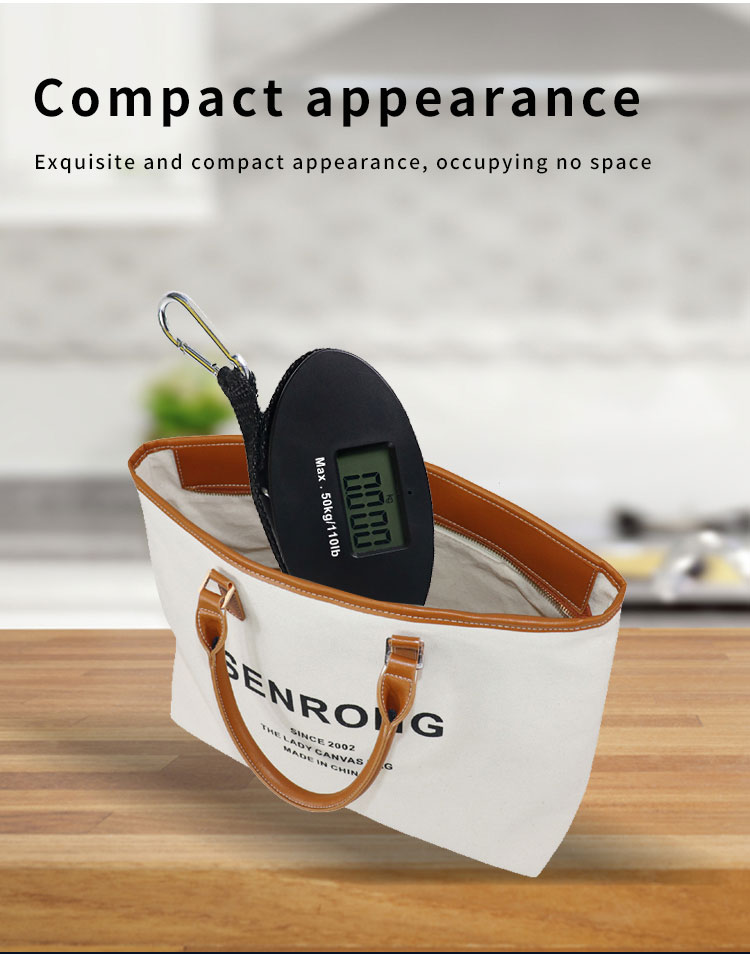 Mini Electronic Hanging Scale