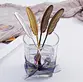 Stainless Steel Spoon
Ice Cream Spoon
Coffee Spoon
Feather Spoon
Tea Spoon
Dessert Spoon
Stirring Spoon