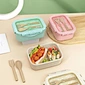 Food Storage Food Storage Package Wheat Straw