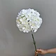 Beautiful Small Fresh Leaves Decoration With Flowers Living Room Home Furnishings Flower
Rose Flower Silk Flower Rose Head Diy Artificial Flowers