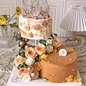 Cake Dowel Rods
cake tools and accessories
plastic cake rod