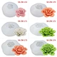 Decorative Flower Cake Mold
Decorative Flower Cake Mold
Decorative Flower Cake Mold
