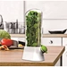 Herb Saver Large Size Herb Storage Container Large Herb Saver