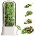 Fresh Herb Keeper For Refrigerator
Saving Cilantro Container For Fridge
Herb Saver For Cilantro