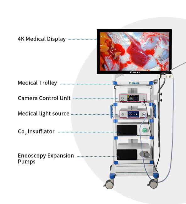 FHD endoscopic monitor
