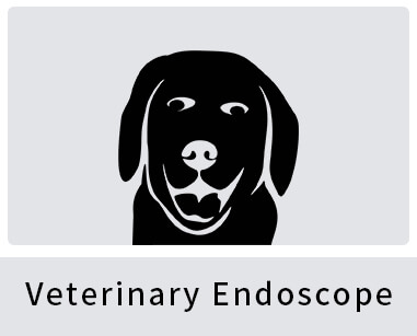 Veterinary endoscope, medical cold light source,laparoscopic cold light source,cold light source for endoscope