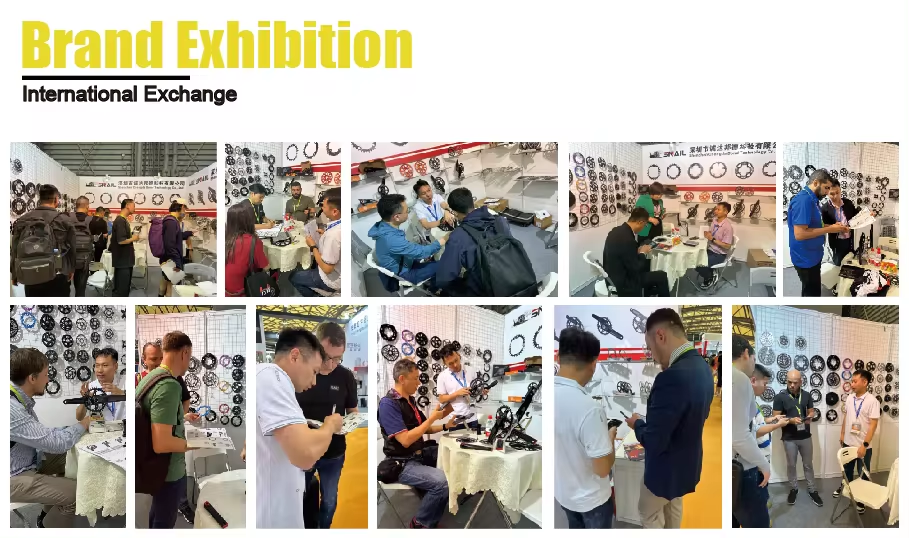 Snail Exhibition