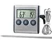 metal thermometer