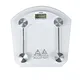 most accurate digital scale