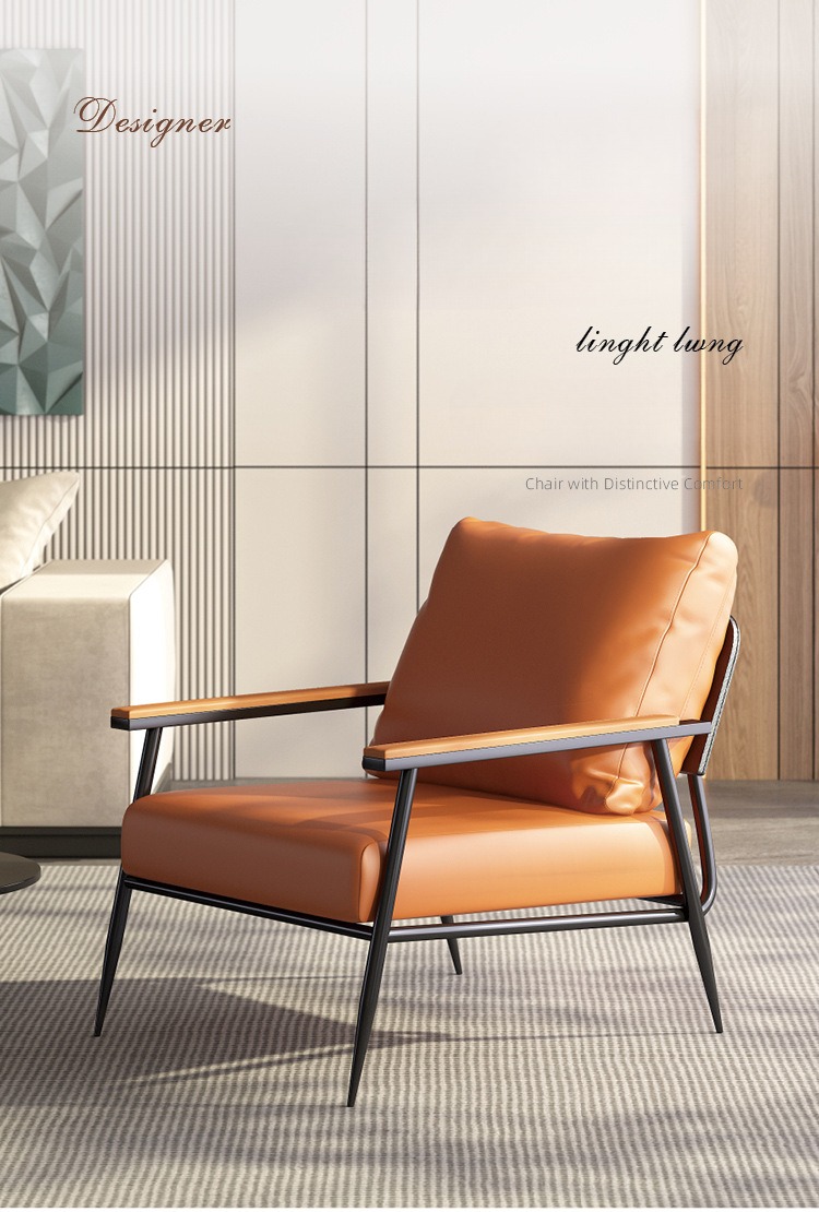 Sofa Chair , Single Sofa Chair , Nordic Minimalist Single Sofa Chair,Versatile Single Sofa Chair Nordic Design Metal Frame For Home Hotel Commercial Use