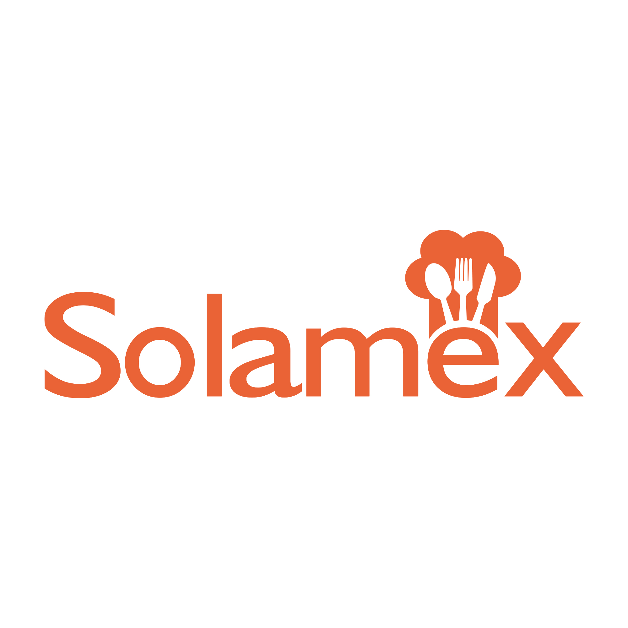 Solamex Logo