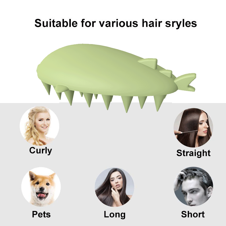 scalp brush dandruff