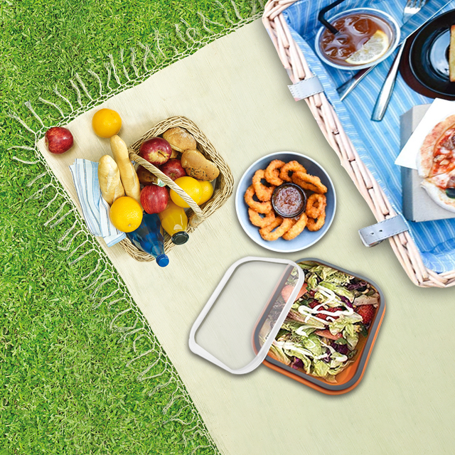 collapsible bento box