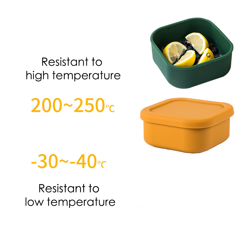 silicone sandwich container