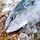 Frozen yellowtail