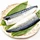 frozen mackerel fillet