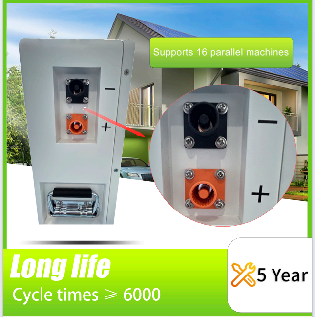 100AH 51.2V Lithium Energy Storage Battery