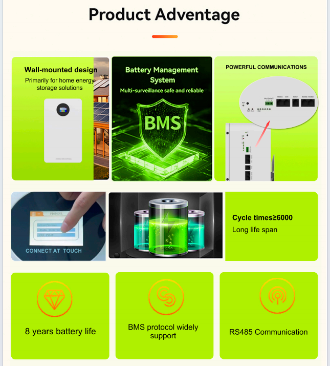 100AH 51.2V Lithium Energy Storage Battery