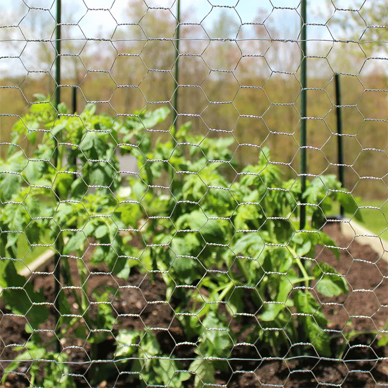 chicken wire