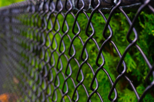 black chain link fence