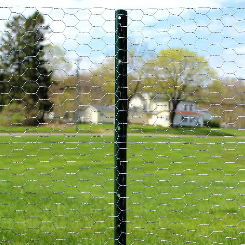 chicken wire