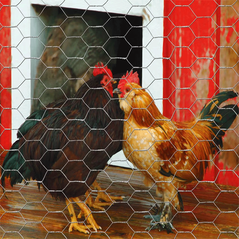 chicken wire