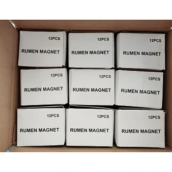 Rumen Magnet
