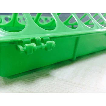 quail Plastic Feede