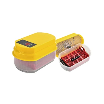 Eggs Incubator Machine