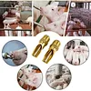 Piglets Auto Nipple Waterer