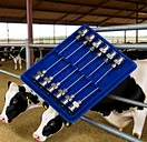 Luer-lock veterinary needles