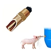 Piglet Drinking Water Bowl