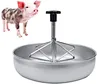 Stainless Steel Piglet Feeder