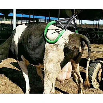 Cow Hip Lifter
