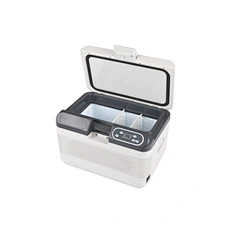Electronic Ice Package