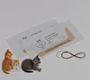Chromic Catgut