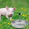 Stainless Steel Piglet Feeder