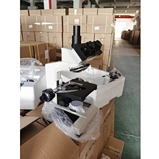 Microscope For Biology