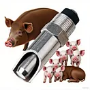 Piglet Drinking Water Bowl