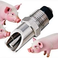 Piglet Drinking Water Bowl