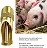 Piglet Drinking Water Bowl