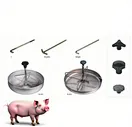 Stainless Steel Piglet Feeder