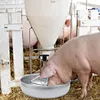 Stainless Steel Piglet Feeder