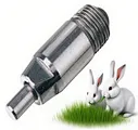 copper Head Pig Water Fountain