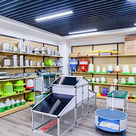 laboratory Cylinder Measuring 250ml Clear