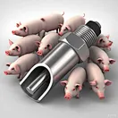 Piglets Auto Nipple Waterer