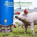 copper Head Pig Water Fountain