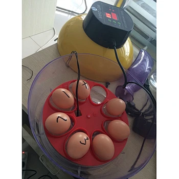 small Household Egg Hatcher